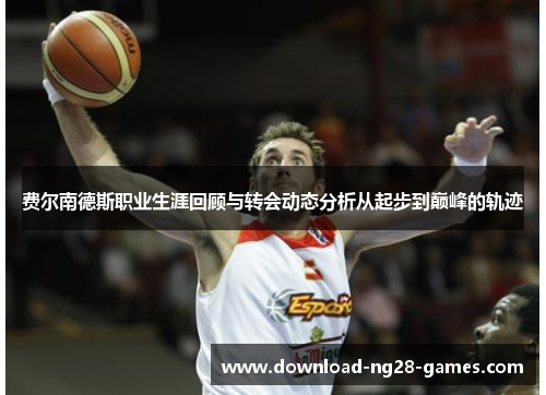 费尔南德斯职业生涯回顾与转会动态分析从起步到巅峰的轨迹